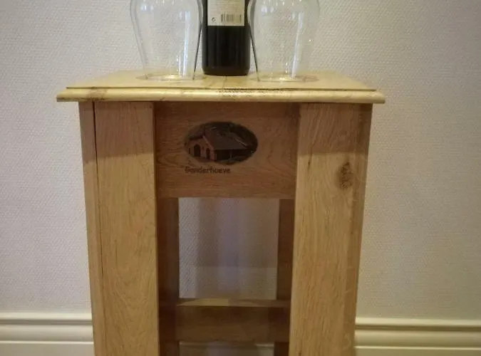 Dom wakacyjny Ganderhoeve